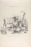 Thomas Sydney Cooper’s cattle subjects Pl.03
