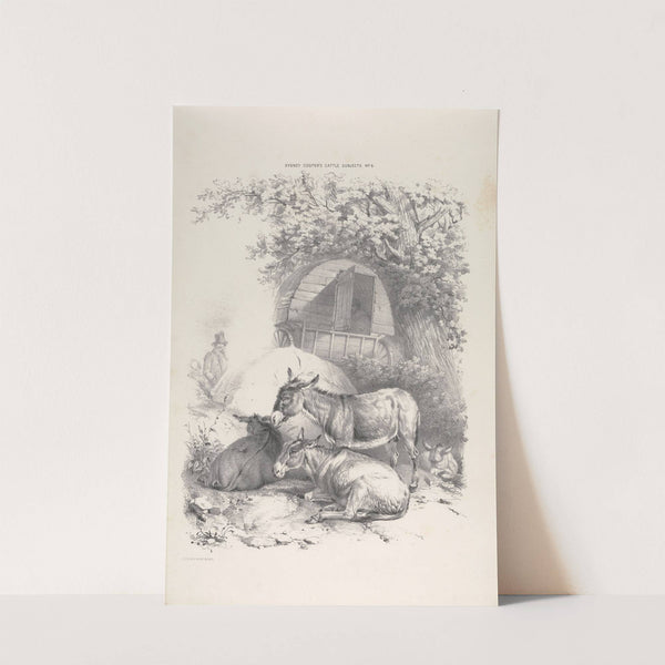 Thomas Sydney Cooper's cattle subjects Pl.06 by Thomas Sidney Cooper