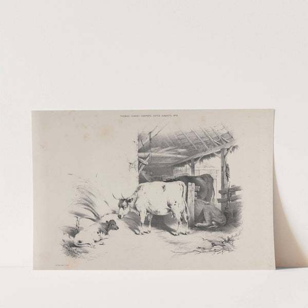 Thomas Sydney Cooper's cattle subjects Pl.09 by Thomas Sidney Cooper