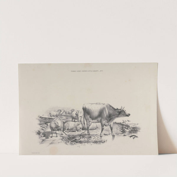 Thomas Sydney Cooper's cattle subjects Pl.11 by Thomas Sidney Cooper