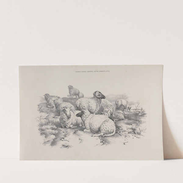 Thomas Sydney Cooper's cattle subjects Pl.14 by Thomas Sidney Cooper