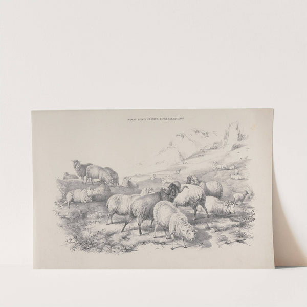 Thomas Sydney Cooper's cattle subjects Pl.17 by Thomas Sidney Cooper