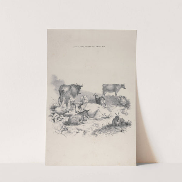 Thomas Sydney Cooper's cattle subjects Pl.18 by Thomas Sidney Cooper