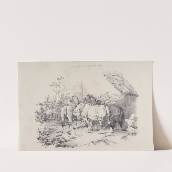 Thomas Sydney Cooper's cattle subjects Pl.20 by Thomas Sidney Cooper