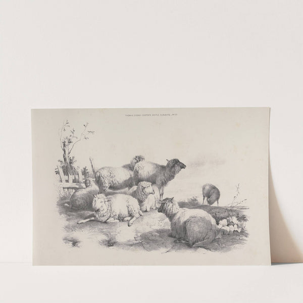 Thomas Sydney Cooper's cattle subjects Pl.22 by Thomas Sidney Cooper