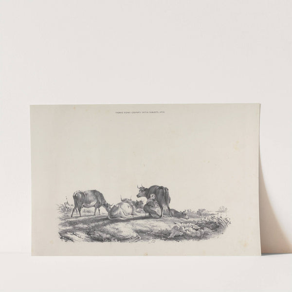 Thomas Sydney Cooper’s cattle subjects Pl.23 (18th Century) by Thomas Sidney Cooper