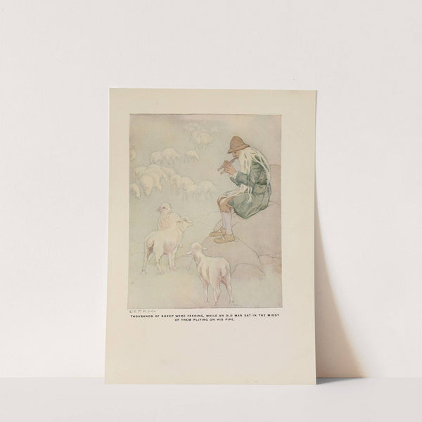 Thousands of sheep were feeding by Katharine Pyle