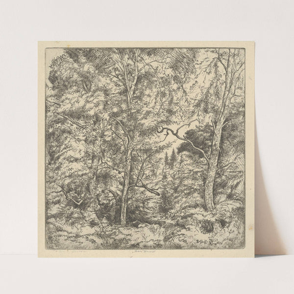 Three Birches (1903-1925) by Ernest Haskell