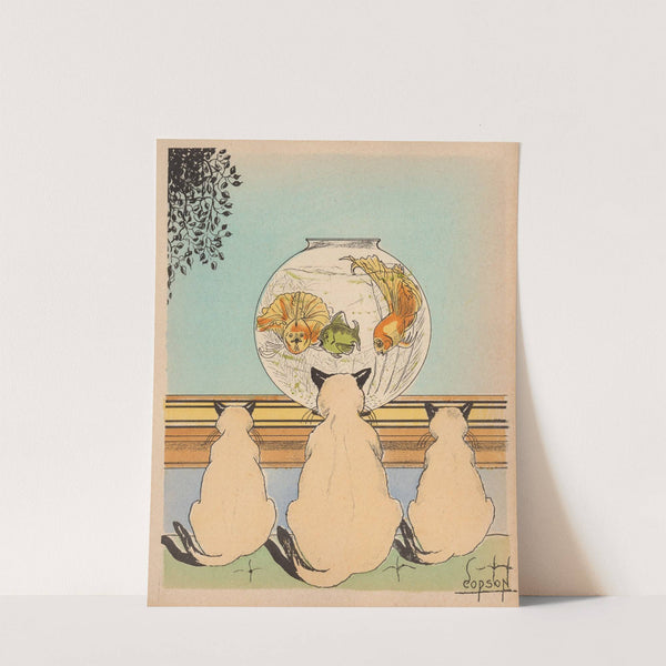 Three cats watching fish in an aquarium by Clyde A. Copson