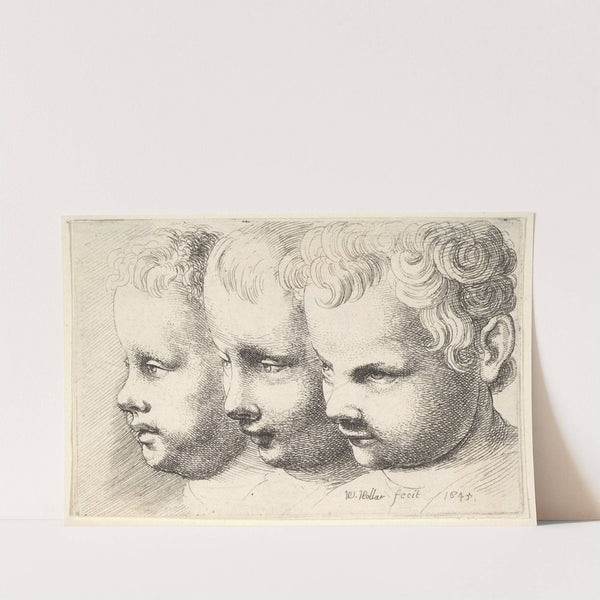 Three children’s heads (1645) by Wenceslaus Hollar