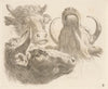 Three cow heads (1793)