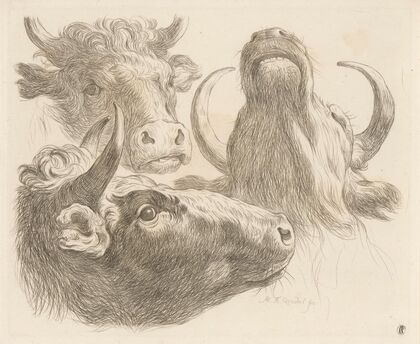 Three cow heads (1793)