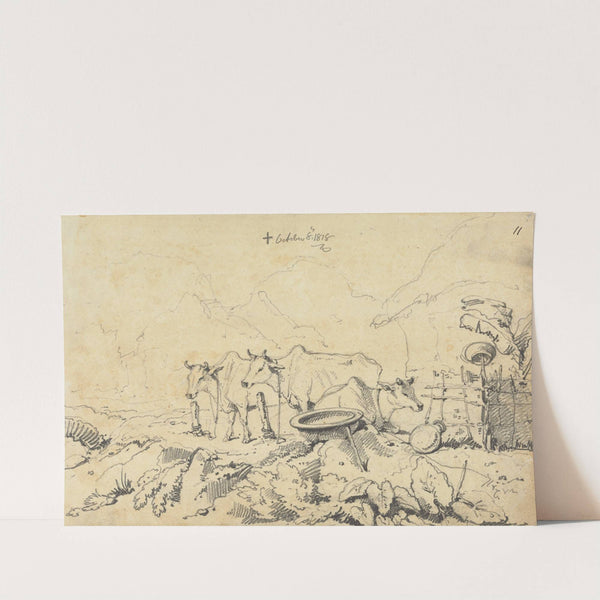 Three Cows Tethered by George Chinnery