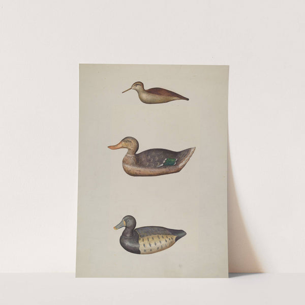 Three Decoy Ducks by Harriette Gale