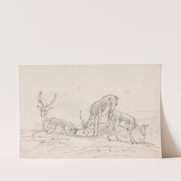 Three Deer by Sawrey Gilpin