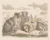 Three dogs (1793)