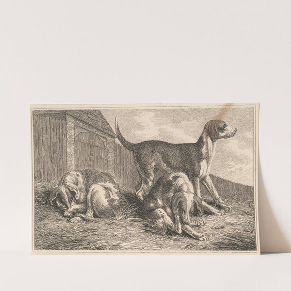 Three Dogs by Samuel Howitt