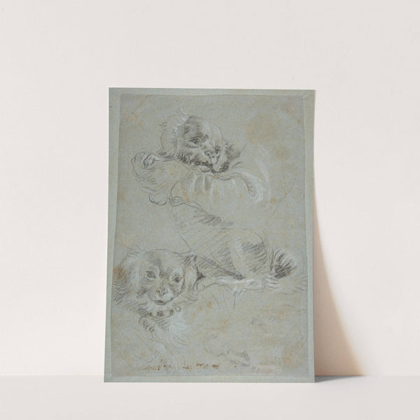 Three Dogs (1727–1804) by Giovanni Domenico Tiepolo