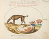 Three Dogs, Including a ‘Mimick’ (1575-1590)