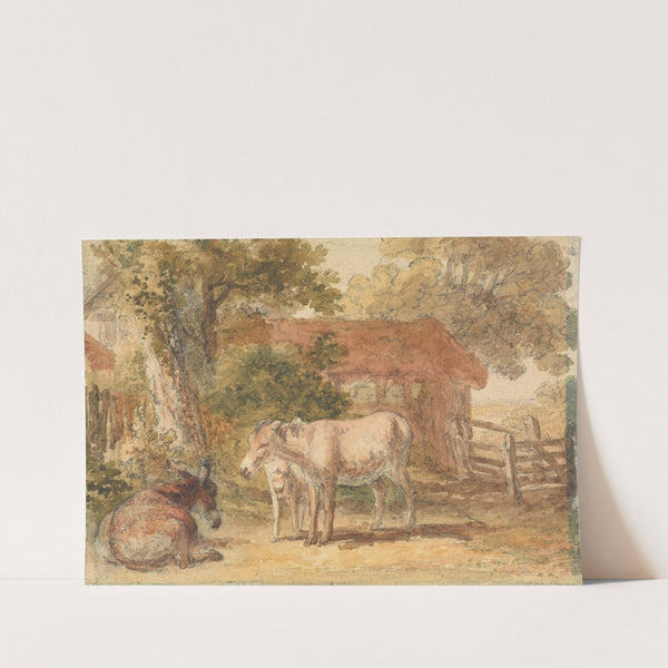 Three Donkeys by Robert Hills