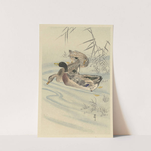 Three ducks in shallow water with reed by Ohara Koson