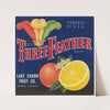 Three Feather Brand Citrus Label (1930s)