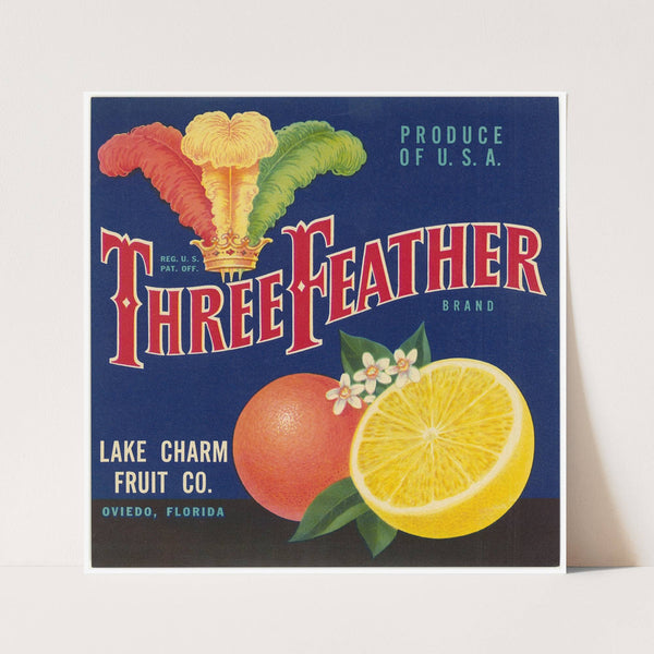 Three Feather Brand Citrus Label (1930s)