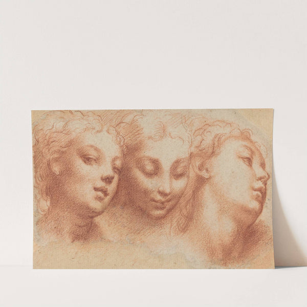 Three Feminine Heads by Parmigianino