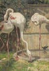 Three Flamingos near a Basin