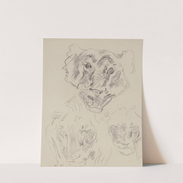 Three Heads of Wild Animals by James Ensor