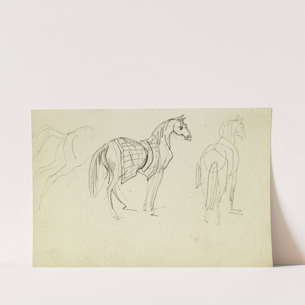 Three horse studies by Théodore Géricault