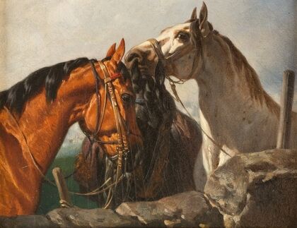 Three horses