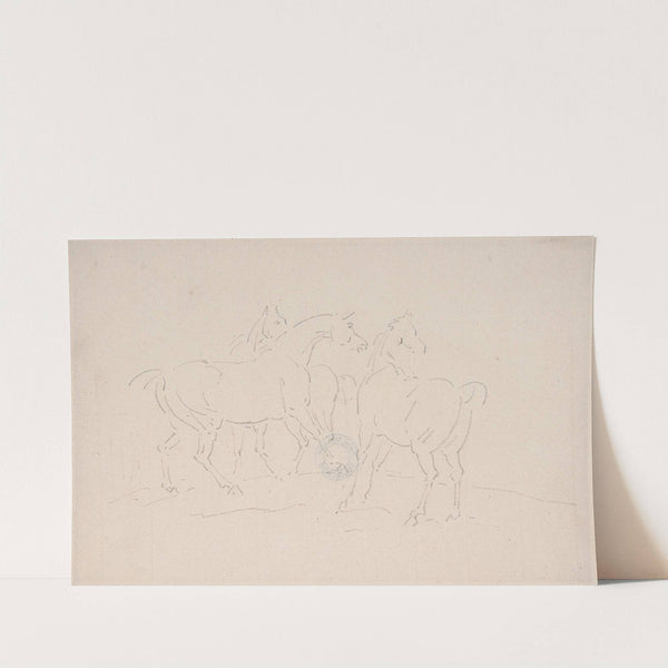 Three Horses by Samuel Daniell