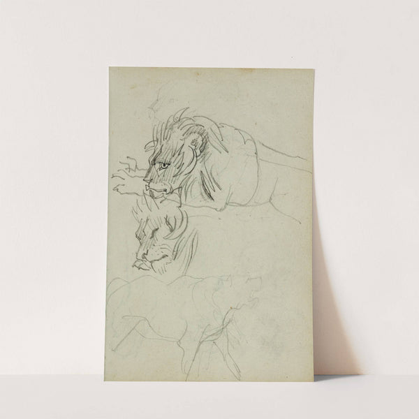 Three lion studies by Théodore Géricault