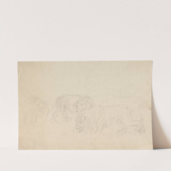 Three Lions, Prowling by Sawrey Gilpin