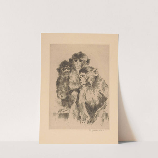 Three monkeys by Cornelis Jan Mension