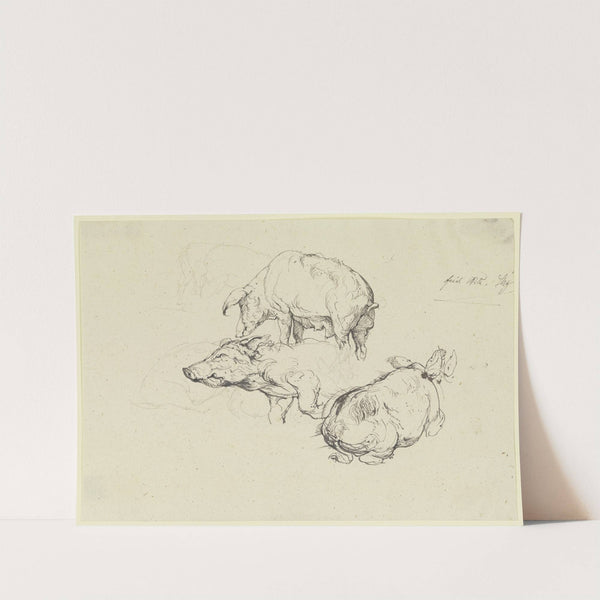 Three pigs by Friedrich von Nerly