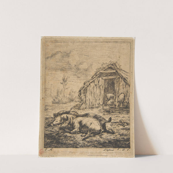 Three Pigs Lying in Front of a Shed (1850) by Charles Meryon