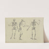 Three poses of skeleton by M.A. Nattali