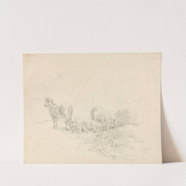 Three Sheep by Sawrey Gilpin