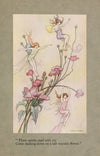 Three spirits mad with joy come dashing down on a tall wayside flower.