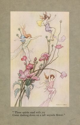 Three spirits mad with joy come dashing down on a tall wayside flower.