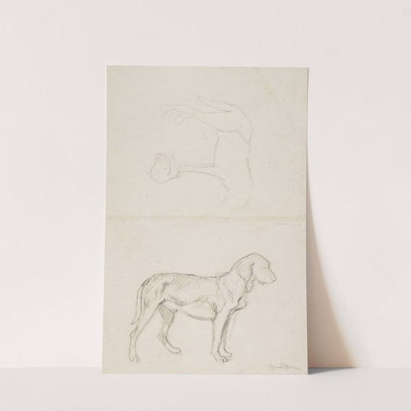 Three Studies of a Dog (1860 - 1924) by Hans Thoma