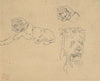 Three Studies of a Lion (1815–63)