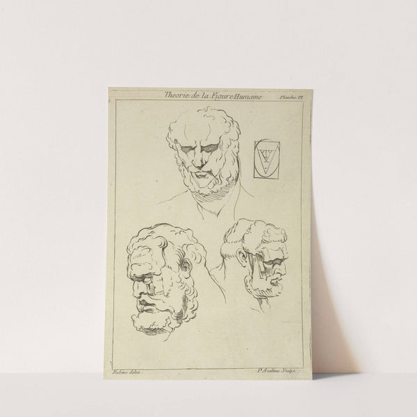 Three studies of a man's head and beard by Peter Paul Rubens