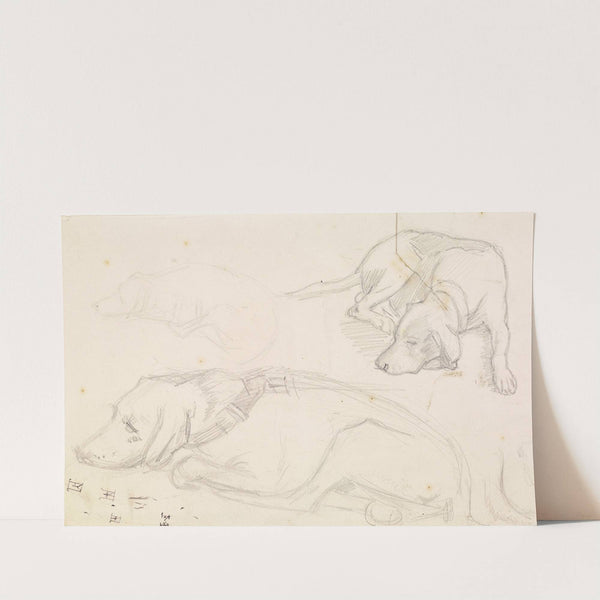 Three Studies of a Sleeping Dog by Sir John Everett Millais