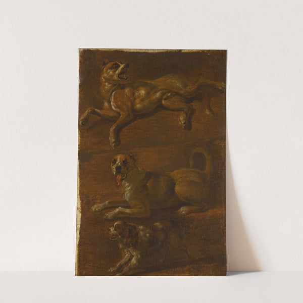Three studies of dogs by Dutch School
