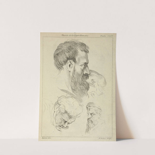 Three studies of men's heads by Peter Paul Rubens