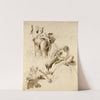 Three Studies of the God Bacchus (between 1700 and 1770) by Giovanni Battista Tiepolo