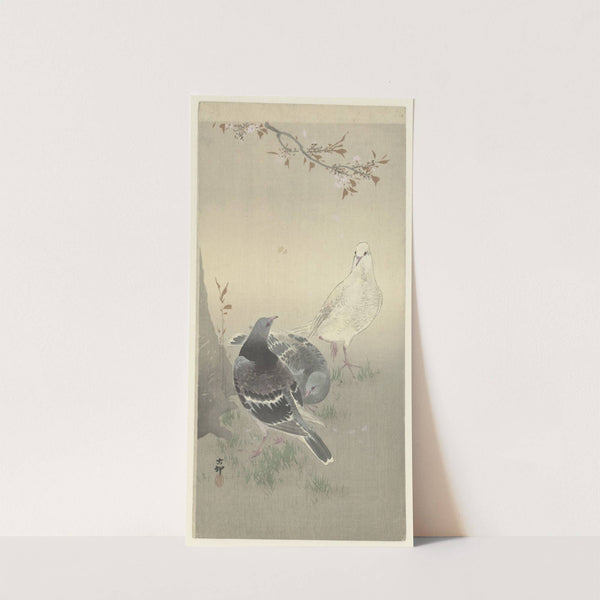 Three tame pigeons by Ohara Koson
